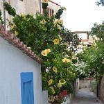 2015 Sicilia S.Gregorio 5-17set2015 (837)