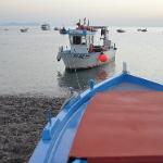 2016 S.Gregorio Peschereccio con Nino 15set2015 (5)