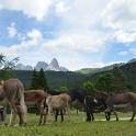 2016 Passo Rolle e dintorni 15lug2016 (15)