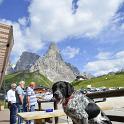 2016 Passo Rolle e dintorni 15lug2016 (37)