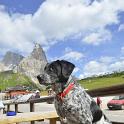 2016 Passo Rolle e dintorni 15lug2016 (40)