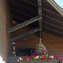 2016 Trodena 15-16-17lug2016 (153)