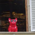 Firenze maggio 2017 (22)
