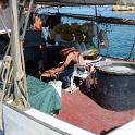 Lampedusa giugno 2017 (155)