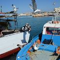 Lampedusa giugno 2017 (165)