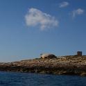 Lampedusa giugno 2017 (258)