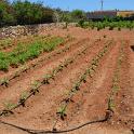 Lampedusa giugno 2017 (314)