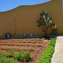 Lampedusa giugno 2017 (315)