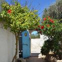 Lampedusa giugno 2017 (354)