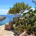 Lampedusa giugno 2017 (465)