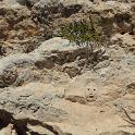 Lampedusa giugno 2017 (466)