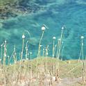 Lampedusa giugno 2017 (49)