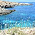 Lampedusa giugno 2017 (56)