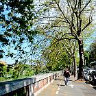 2017-11 Roma Lungotevere e Isola Tiberina 11apr2017 (2)