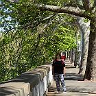 2017-11 Roma Lungotevere e Isola Tiberina 11apr2017 (4)