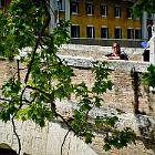 2017-11 Roma Lungotevere e Isola Tiberina 11apr2017 (9)