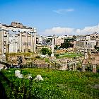 2017-8cell. Roma Campidoglio 10apr2017 (1)