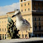 2017-9 Roma Altare della Patria 10apr2017 (13)