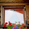 Trodena e dintorni settembre 2018 (155) 795x1200