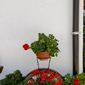Trodena e dintorni settembre 2018 (24) 600x1200