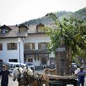 Trodena e dintorni settembre 2018 (357) 795x1200