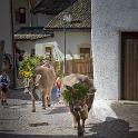 Trodena e dintorni settembre 2018 (392) 795x1200