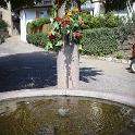 Trodena e dintorni settembre 2018 (401) 795x1200