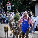 Trodena e dintorni settembre 2018 (404) 795x1200