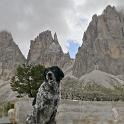 Trodena e dintorni settembre 2018 (79) 600x1200