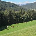 Trodena e dintorni settembre 2018 (99) 1600x800