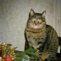 1998 Miky-004-dic98