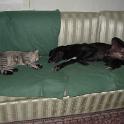 2002 Lilli e Bussy3-3nov02