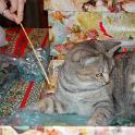 2002 Lilli6-8dic02