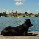 2005 Bussy Mantova lago 007-8ago05 (2)
