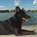 2005 Bussy Mantova lago 007-8ago05 (3)