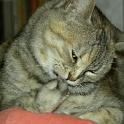 2009 Lilli 16apr09