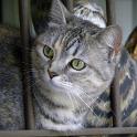 2009 Lilli 17apr09