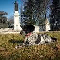 2013 Gaia 13dic2013 (3)