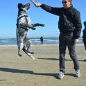 2014 Cervia 23feb2014 (11)