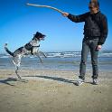 2014 Cervia 23feb2014 (3)