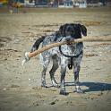 2014 Cervia 23feb2014 (8)