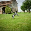 2014 Gaia campagna 11mag2014 (4)