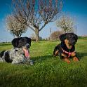 2014 Gaia e Oliva 14mar2014 (1)