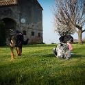 2014 Gaia e Oliva 14mar2014 (2)