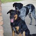2014 Gaia e Oliva 6ago2014 (12)