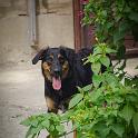 2014 Gaia e Oliva 6ago2014 (14)