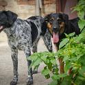 2014 Gaia e Oliva 6ago2014 (15)