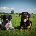 2014 Gaia e Oliva 6ago2014 (3)