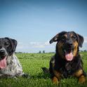 2014 Gaia e Oliva 6ago2014 (4)