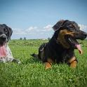 2014 Gaia e Oliva 6ago2014 (5)